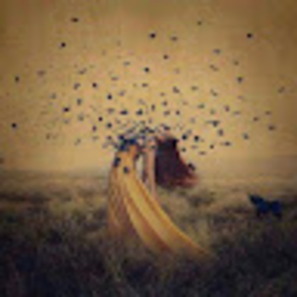 Meet your Posher, Soul fed